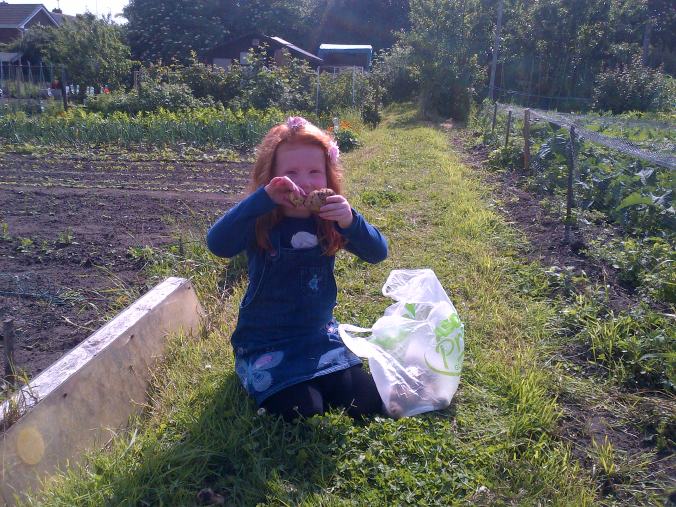 One Potato Two Potato Three. Our Granddaughter enjoying picking the first boiling of New Potatoes 