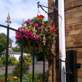 The hanging baskets are looking good.. Hubby rigged up a water system to stop us keep climbing everyday to water. you can see the pipe coming into this one