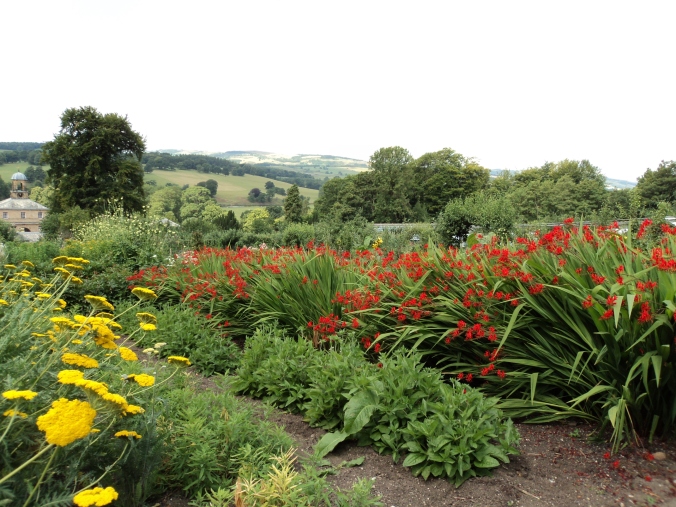 More views from the Kitchen Garden 